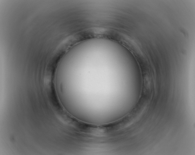 X0000114160698200910151606