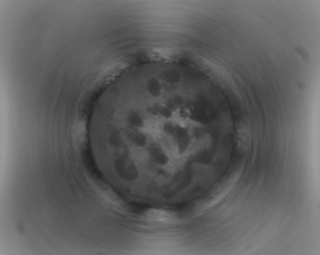 X0000114160699200910151606