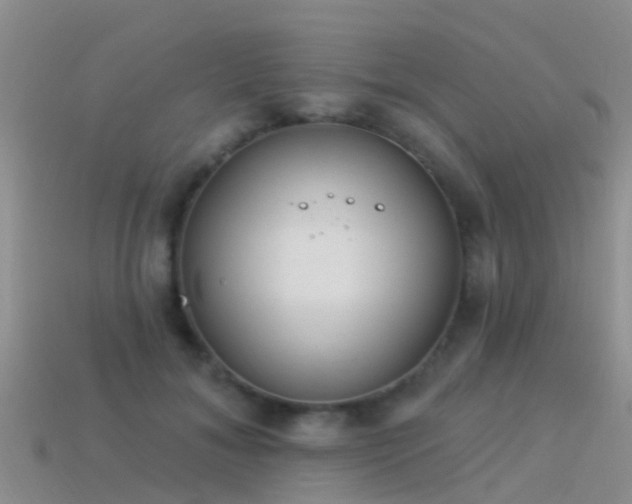 X0000114160700200910151606