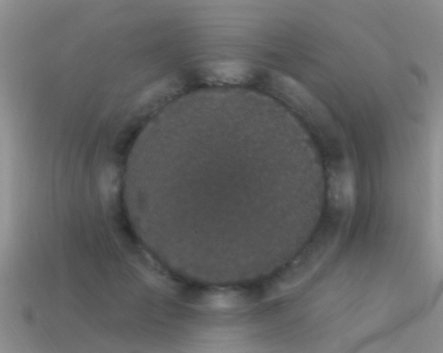 X0000114160701200910151606