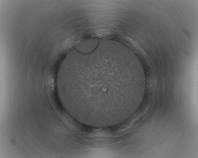 X0000114160703200910151606