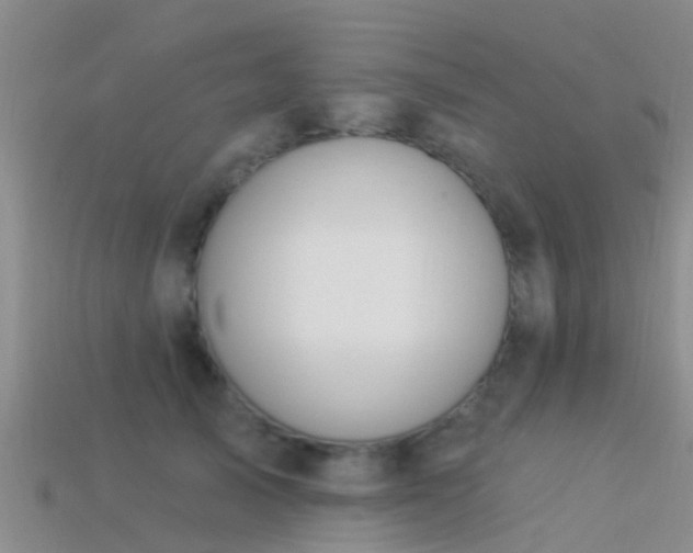 X0000114160705200910151606