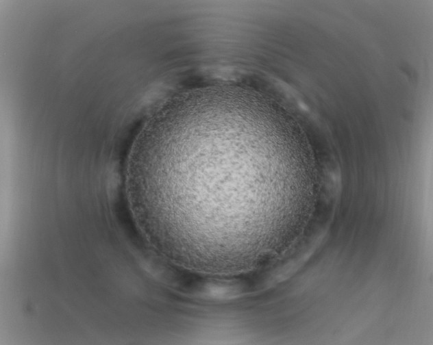 X0000114160707200910151606