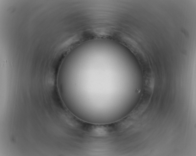 X0000114160710200910151606