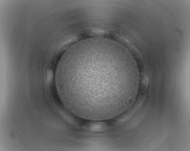 X0000114160711200910151606