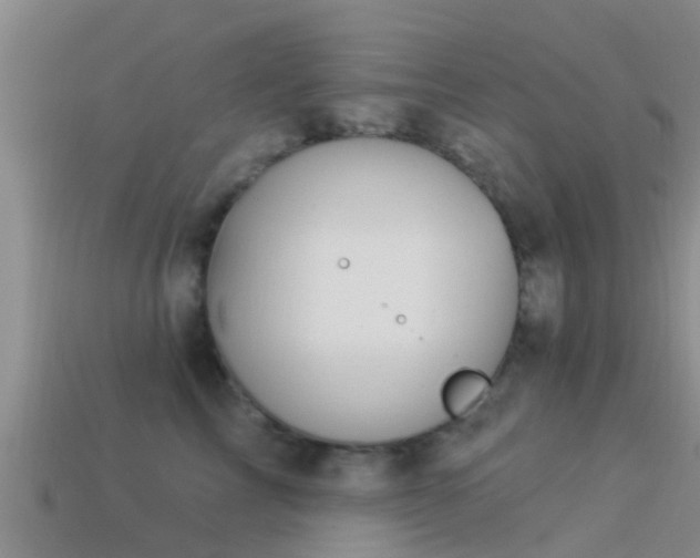 X0000114160713200910151606