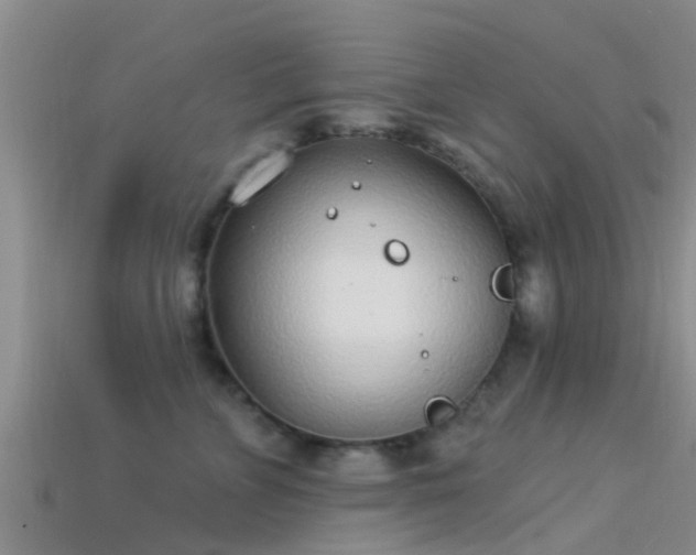 X0000114160715200910151606