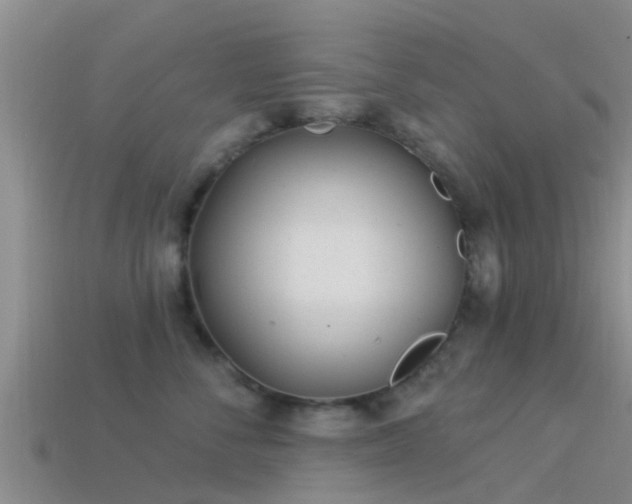 X0000114160716200910151606