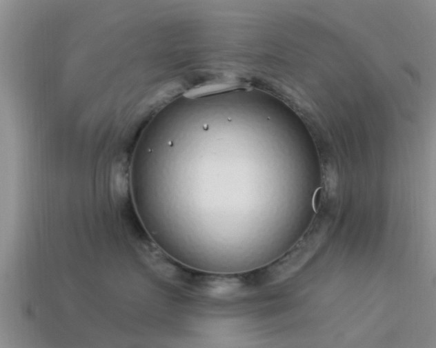 X0000114160719200910151606