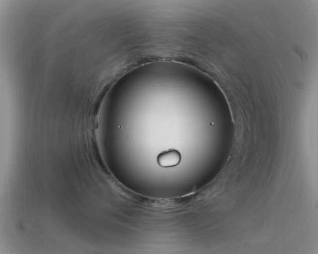 X0000114160720200910151606