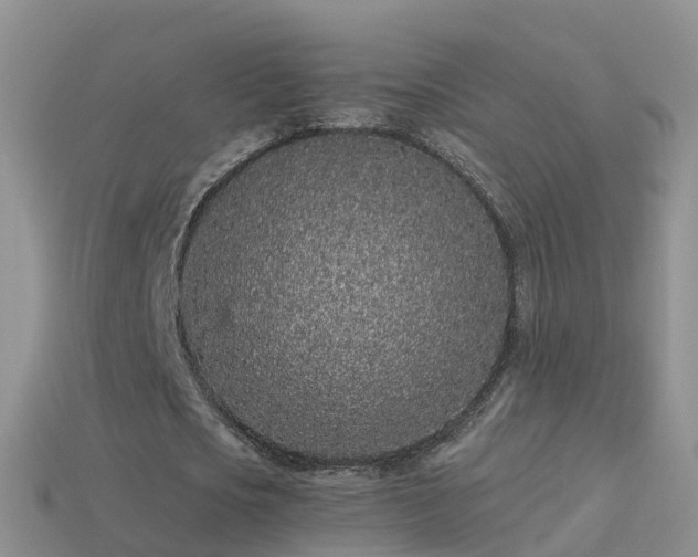 X0000114160721200910151605