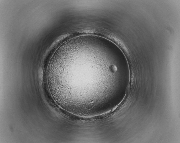 X0000114160722200910151605