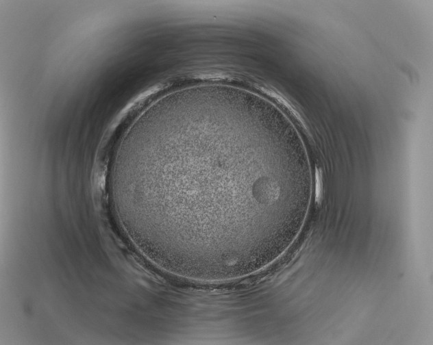 X0000114160723200910151605