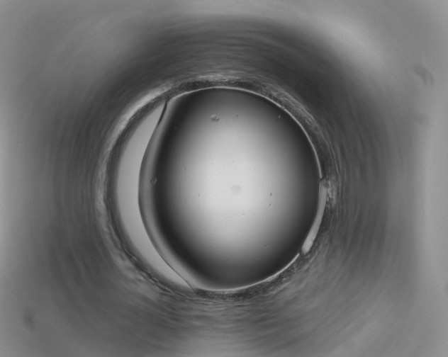 X0000114160724200910151605