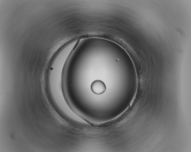 X0000114160725200910151605