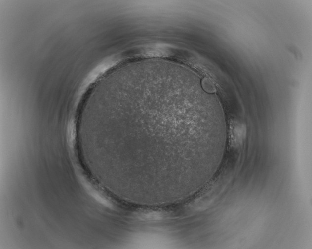 X0000114160726200910151605