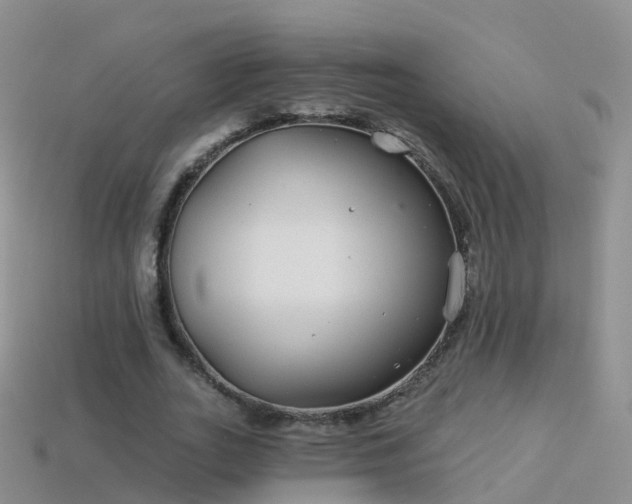 X0000114160727200910151605