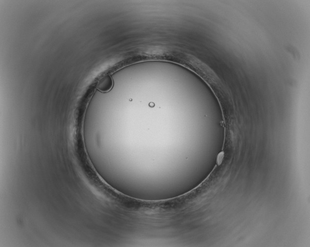 X0000114160728200910151605