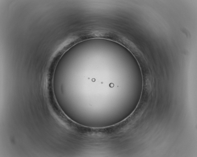 X0000114160730200910151606