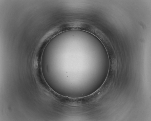 X0000114160731200910151606