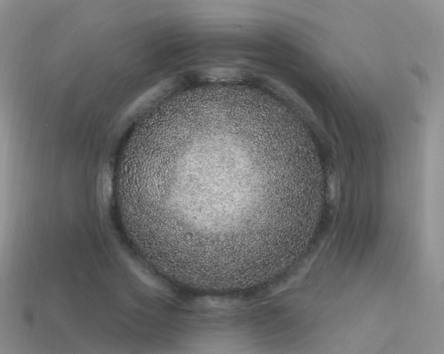 X0000114160733200910151606