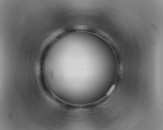 X0000114160734200910151606