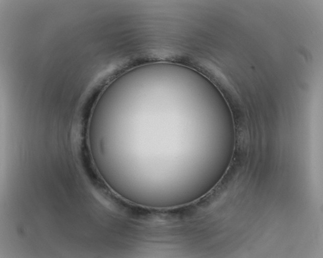 X0000114160736200910151606