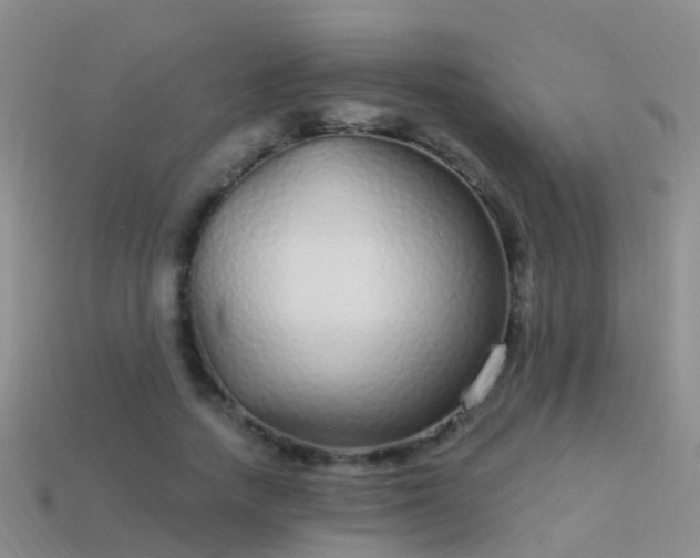 X0000114160738200910151606