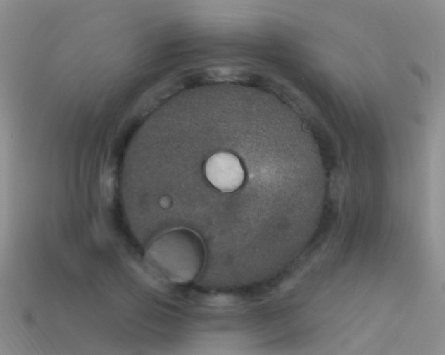 X0000114160741200910151606