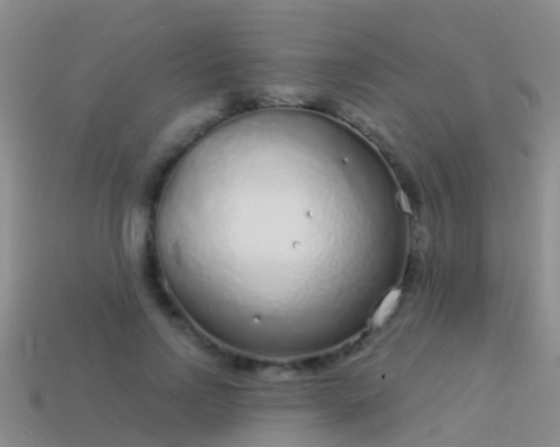 X0000114160742200910151606