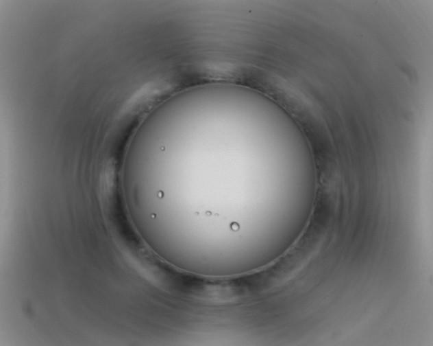 X0000114160744200910151606