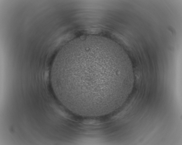 X0000114160745200910151606