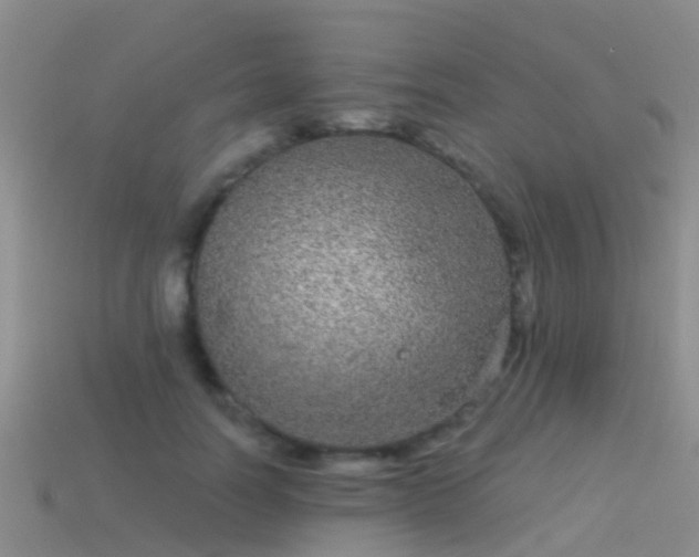 X0000114160746200910151606