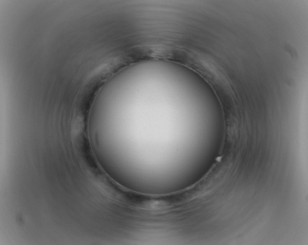 X0000114160748200910151606