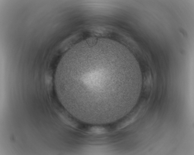 X0000114160749200910151606