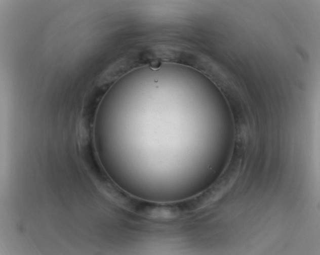 X0000114160751200910151606