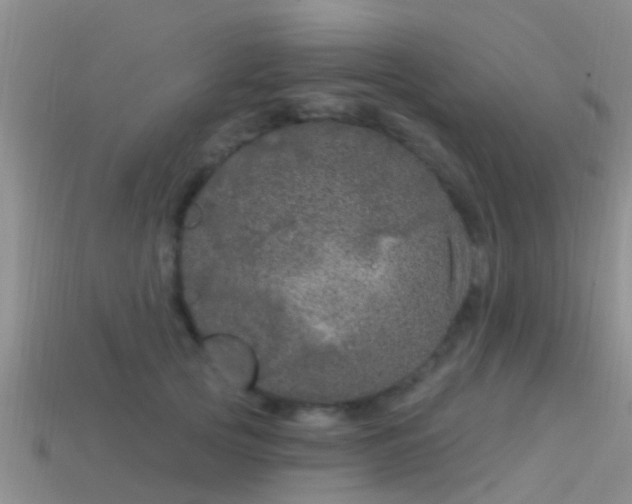 X0000114160753200910151606