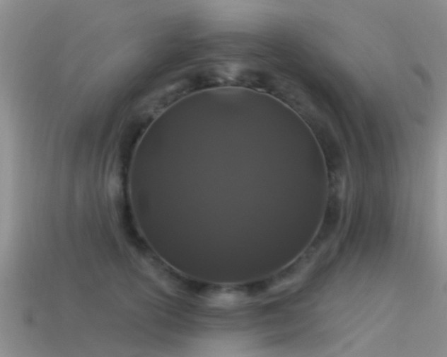 X0000114160754200910151606