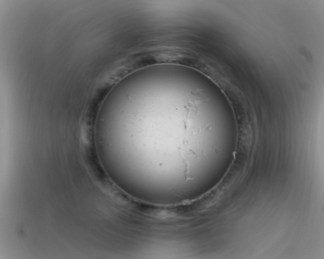 X0000114160755200910151606