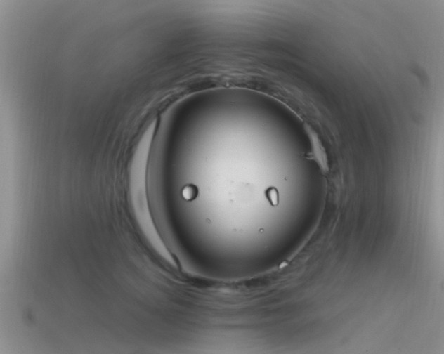 X0000114160756200910151606