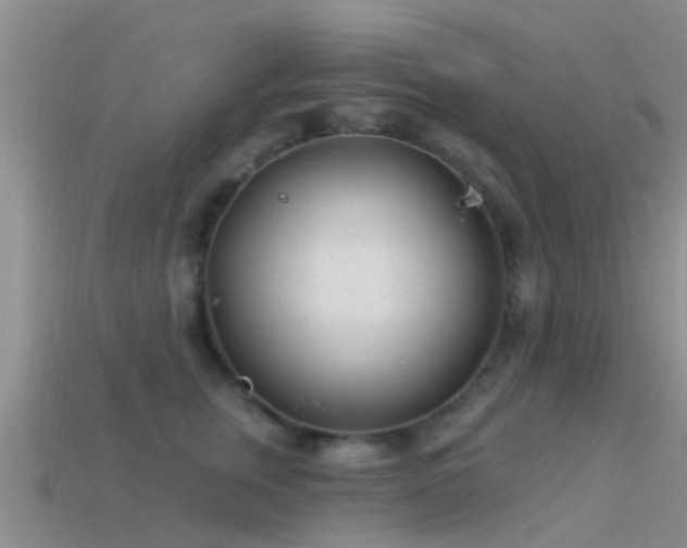 X0000114160759200910151606