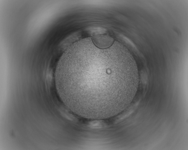 X0000114160761200910151606