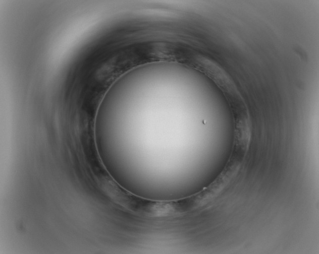 X0000114160762200910151606