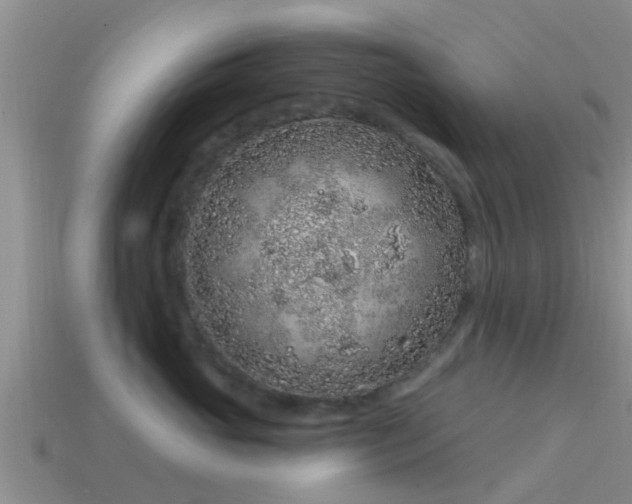 X0000114160765200910151606