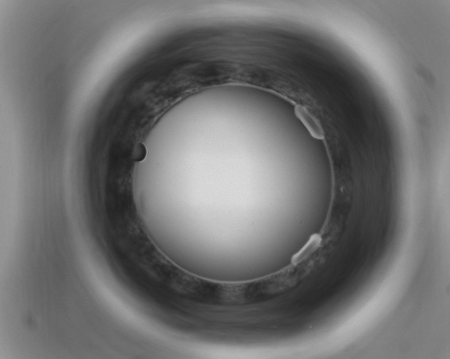 X0000114160766200910151606