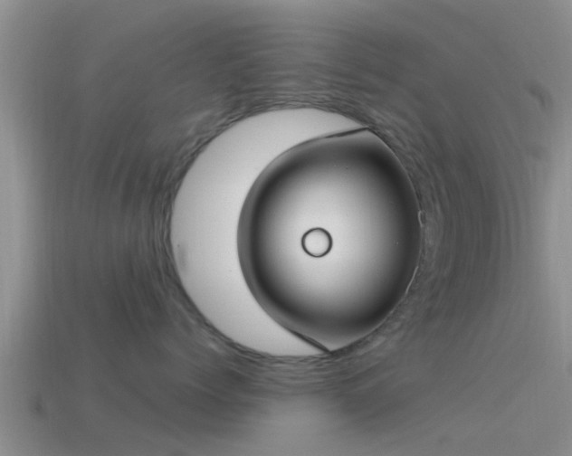 X0000114160768200910151606