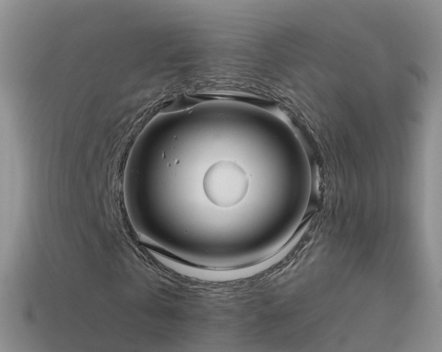 X0000114160769200910151605