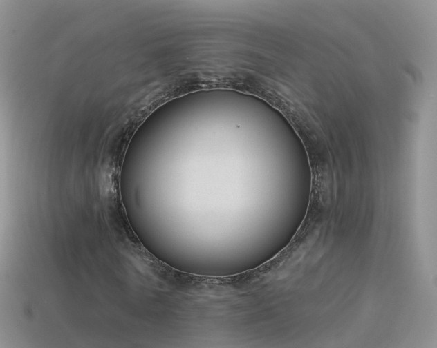 X0000114160770200910151605