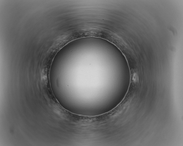 X0000114160771200910151605