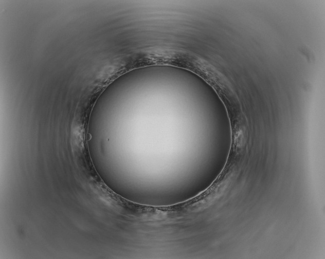 X0000114160772200910151605